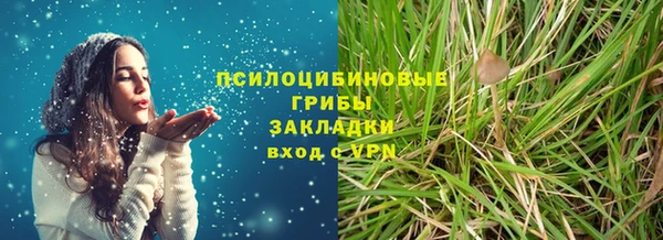 МДПВ Пролетарск