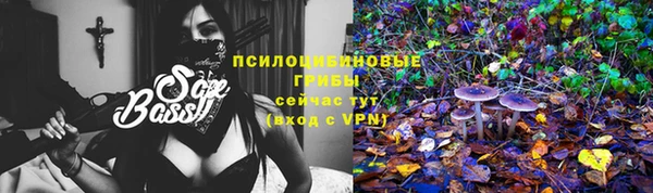прущая мука Приозерск