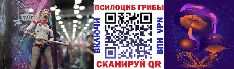 Псилоцибиновые грибы мухоморы  Пойковский 